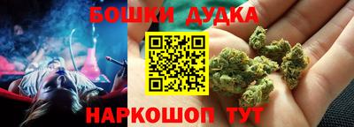 прущие грибы Ставрополь