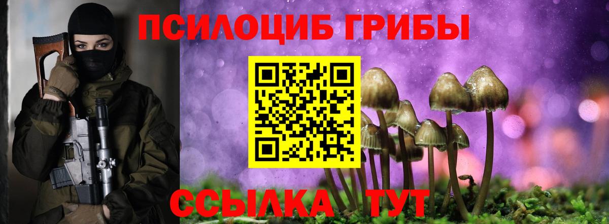 Полысаево  Галлюциногенные грибы Psilocybine cubensis  Вход с VPN 